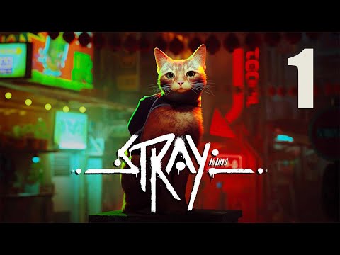 Stray Gameplay Walkthrough (PS5) - Part 1