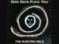 Electric Eels - Natural Situation