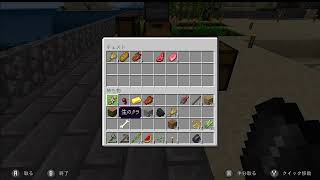 minecraft スイッチ版　初日～