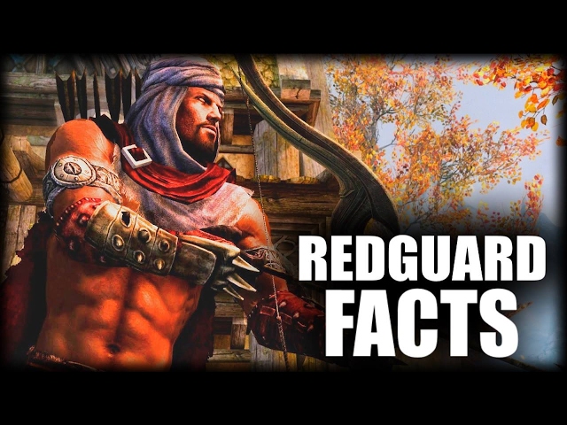 The Elder Scrolls Adventures: Redguard