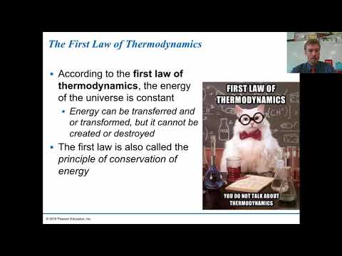 AP Bio 6.1-2 Introduction to Energy and Metabolism
