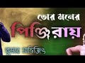 Jisan Khan Shuvo  Tor Moner Pinjiray তোর মনের পিঞ্জিরায়  Bengali Song  Kumar Avijit