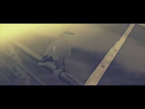 WINDSURFERS - Now You Sail Away