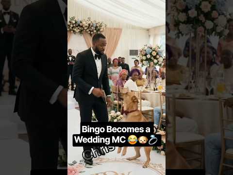 Bingo Becomes a Wedding MC 😂🐶💍 | Oga Wedding Scatter! #subscribe  #shorts  #viral