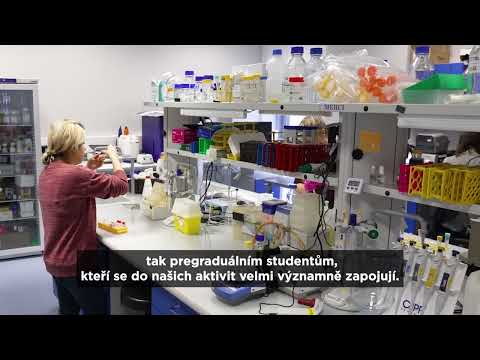 Náhled pro video reference