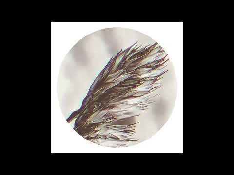 Joachim Spieth & Cauê - Alpha