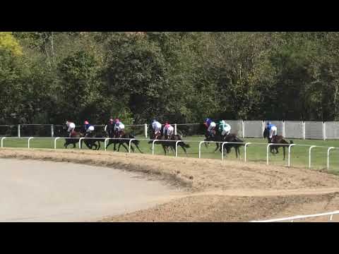 Trka "Cer" 29.09.2019 Destyno - Cristian Gnesi