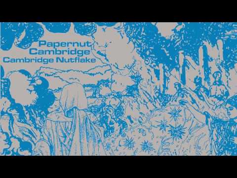 06 Papernut Cambridge - The Old Man in His Raincoat [Gare du Nord Records]