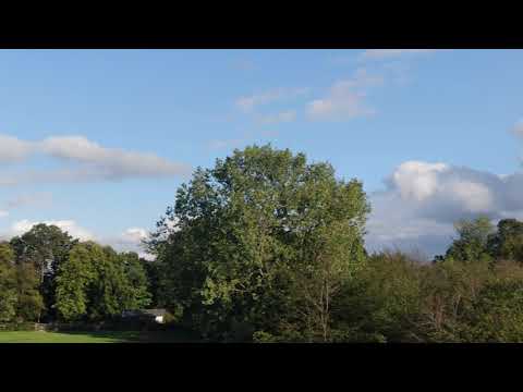 09092020 Woodredon Area Epping Forest