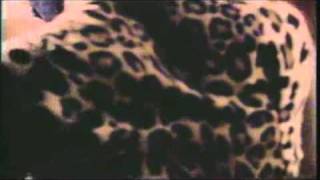 Sonia Dada - LOVER [You Dont Treat Me No Good No More].mp4