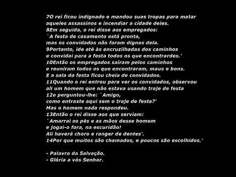 Evangelho do Dia 20 08 2020