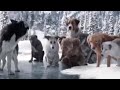 Cheko Rely Illusionary Daytime Alan Walker