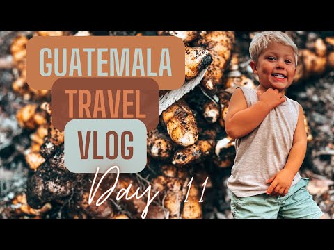 WorldSchooling at Caoba Farms - Guatemala Daily Travel Vlog # 11 / 18