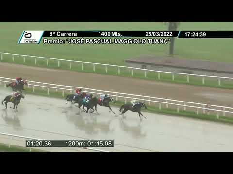220325 c06  - ACTOR - HIPODROMO LAS PIEDRAS - PREFERENCIAL "JOSÉ PASCUAL MAGGIOLO TUANA"