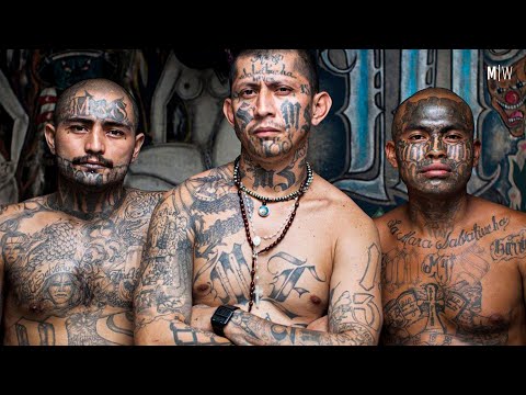 MS-13: America's Most Notorious Gang - Steven Dudley | Modern Wisdom Podcast 316