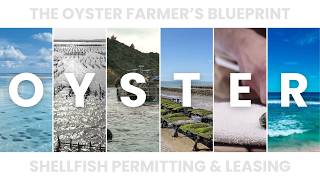 How To Start An Oyster Farm