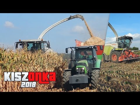 🌽Kukurydza na Kiszonke☆2018☆Na Duże Wózki☆CLAAS,FENDT,DEUTZ,CASE