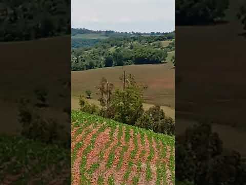 Mostrando O Bairro Alvorada Em Barbosa Ferraz PR
