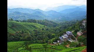 preview picture of video 'Vibrant Kerala Travel | Part 2 Munnar'