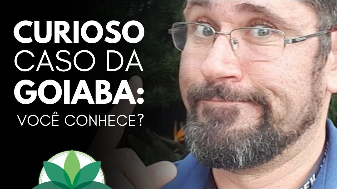 O Curioso Caso Da Goiaba: É Simples, Mas Não É Fácil!