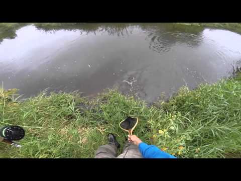 2015 Driftless Brown Trout Action 