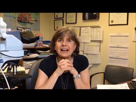 NorthwellPathologyOnBoarding2018