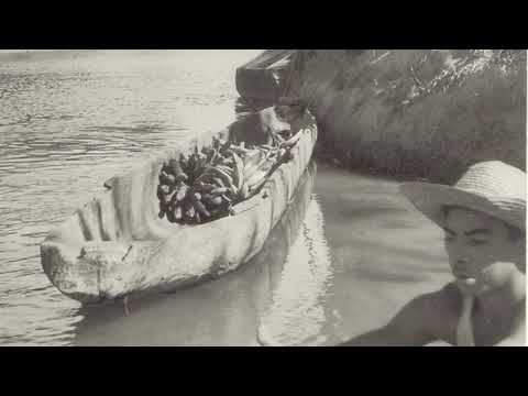 DE TRISTE SE VISTE EL LLANO. JOSÉ CACHO LUNARES. GUANARITO PORTUGUESA.