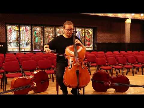 Goffriller Cello 4/4 Hand-Made in Romania 2024 #34 image 18