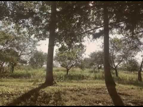 V Official video by Spylacopa