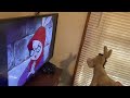 Donkey Watches THX Logo