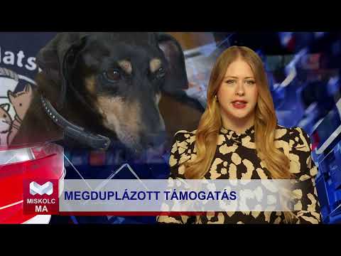 Videó előnézet