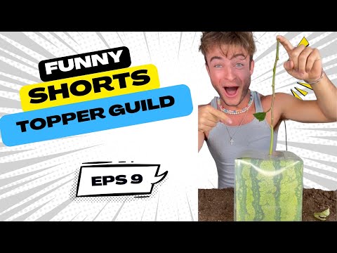 VibeClips and 5 more