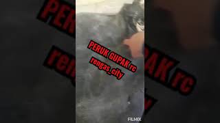 Download lagu Suara mandar/peruk tarikan burung dari lawan penjaring mp3