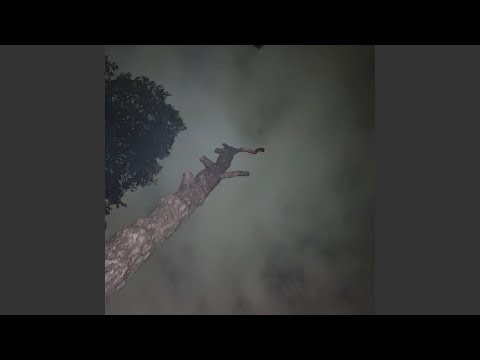 On Top (feat. Dvmmy)