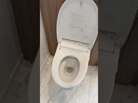 🌸 Modern Japanese Toilet Demo: Button-Activated Lids - softypapa shorts 🚽🇯🇵✨