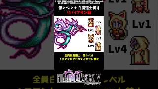 FF5 白魔道士だけでリバイアサン 低Lv FINAL FANTASY V SFC版 job unification & Low-Level Run VS Leviathan