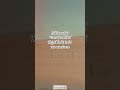 Pala Palakura Pagalaa Nee ️ Idhuvarai Nenjil Irukum Ayan Hariharan ️Harris Jayaraj