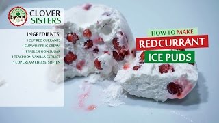 Redcurrant ice puds