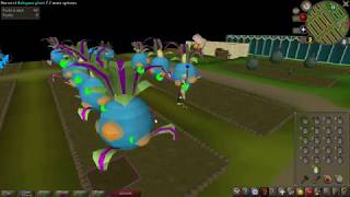 Runelite Fight Cave Plugin