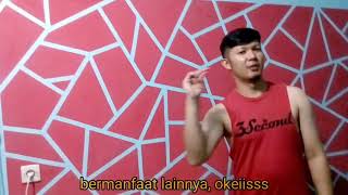 Descargar Mp3 De Cat Dinding Motif Gratis Buentema Org