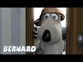 Bernard Bear The Fumigator 2 AND MORE 30 Min Compilation Cartoons For Children