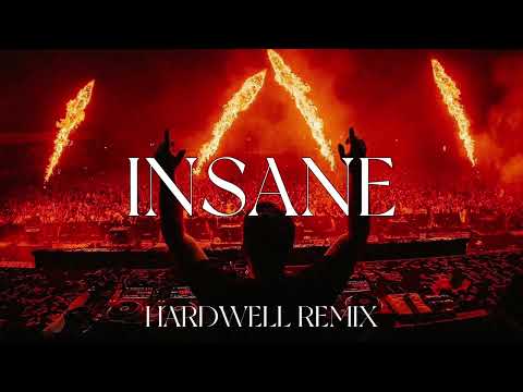 Dark Monks - INSANE (HARDWELL REMIX)