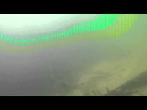 GOPR0411 Bildsensor Fehler