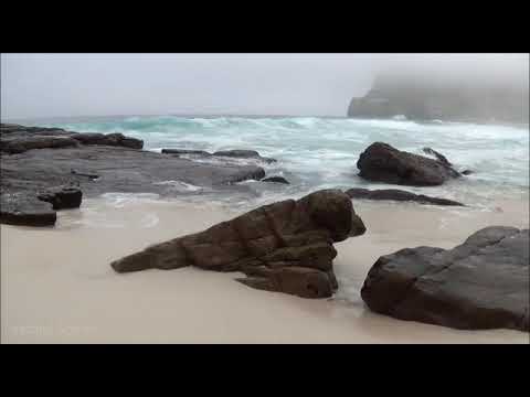 Billie Eilish Lovely song by Femida