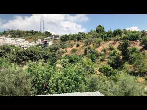 10 сентября 2019 г.