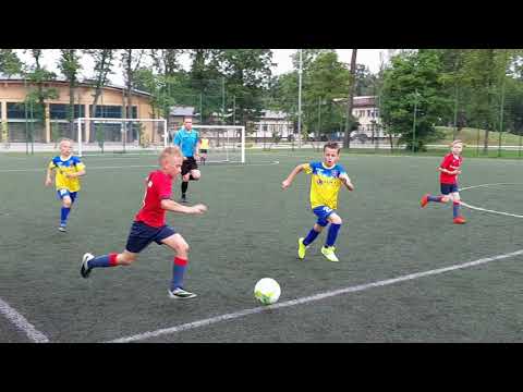 Bór Regut 2011   Sabio Miętne  8 06 2019