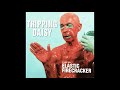 Tripping Daisy ‎– I Got A Girl