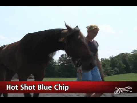2009 Hambletonian favorites -- USTA harness racing Hoof Beats