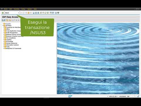 Errore Autorizzativo SAP (Come eseguire la transazione /nSU53)