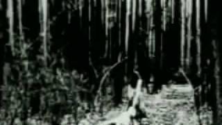 Sterile nails and Thunderbowels with lyrics